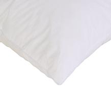 Concierge Collection 2-Pack Nano Feather Cotton Face Pillows Jumbo