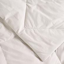Concierge Collection Nano Feather Cotton Face Blanket King/Cal King