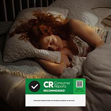 Coop Sleep Goods The Original Adjustable King Pillow