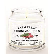 Courtside Market Fresh Farm Trees Wax Infused Candle with Glass Lid
