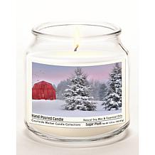 Courtside Market Tree Farm Wax Candle in Glass Jar with Silver Lid