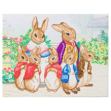 Craft Buddy Crystal Art Peter Rabbit Family and Flower Pot 2pk Canv...
