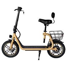 DeLorean 450W 36V Folding Seated E-Scooter w/Backrest & Accessories