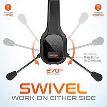 Delton 20x Professional Wireless Computer Headset