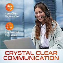 Delton 42Y Noise Canceling Binaural Computer Headset with Microphone