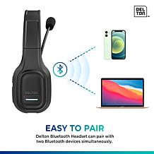 Delton Professional Wireless Headset w/Microphone & USB Dongle 2-pack