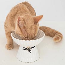DexyPaws Elevated Ceramic Cat Bowl - Blush Pink & Rose Gold