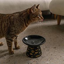 DexyPaws Flat Top Ceramic Cat Bowl - Black Fish Print