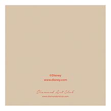 Diamond Art Club Disney Princesses Cards Set of 5