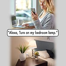 Digital Gadgets 2-Pack Smart Plugs