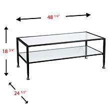 Dina Metal/Glass Rectangular Cocktail Table - Black
