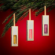 DIVINE ELIXIR LUMINOUS LIP OIL HIBISCUS - HOLIDAY