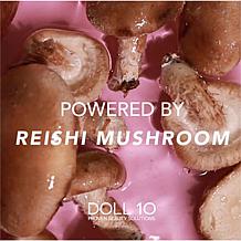 Doll 10 Supersize Reishi Radiance Foundation Set Auto-Ship®