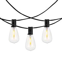 Dorcia 10-Light Black Outdoor String Light 120"