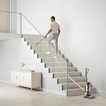 Dyson Ball Animal 3 Extra Upright Vacuum