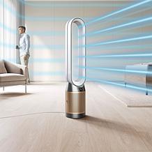 Dyson PC2 Cooling Fan & Air Purifier with Combi Filter