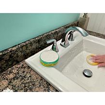 Earth Brite All-Purpose 600gm (21oz.) Cleaning Kit