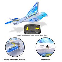 eBird Blue Pigeon - x2 Channel RC Flying Bird