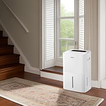 Energy Star 50-Pint Portable Dehumidifier with Pump