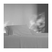 Farm to Home Organic Cotton Tencel Sheet Set - Soft Gray 