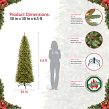 Franklin Fir Pencil 6-1/2' Artificial Christmas Tree with Clear Lights
