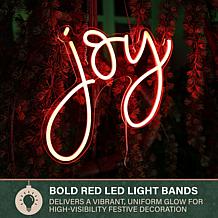Fraser Hill Farm 13.8-in. Neon Red Joy Sign with LED Light Bands
