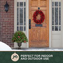 Fraser Hill Farm 2.5-Ft. Joyful Porch Tree in Pedestal Urn with Pin...