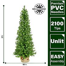 Fraser Hill Farm 3-Ft. Boxwood Porch Tree in Burlap Bag, Set of 2