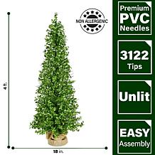 Fraser Hill Farm 4-Ft. Boxwood Porch Tree in Burlap Bag, Set of 2