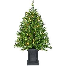 Fraser Hill Farm 4 ft. Boxwood Porch Tree Set with Warm White Lights