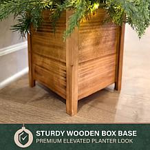 Fraser Hill Farm 4-Ft. Real Feel Cedar Pre-Lit Potted Porch Tree wi...