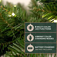 Fraser Hill Farm 4-Pc Pre-Lit Christmas Porch Décor Set with 2 Pott...