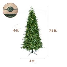 Fraser Hill Farm 7.5-Ft. Evergreen Estate Slim Pre-Lit Artificial C...