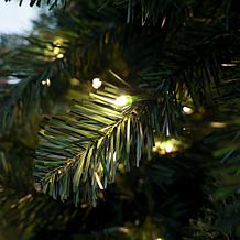 Fraser Hill Farm Fraser Hill Noel Pine 6-Ft. Artificial Christmas T...