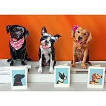 Freshcut Paper Set of 3 Pop-Up Pet Greeting Cards w/Accessories