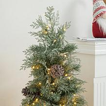 Glitzhome 2pk 4 Ft. Pre-Lit Artificial Pine Christmas Porch Tree