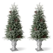 Glitzhome 2pk 4 Ft. Pre-Lit Artificial Pine Christmas Porch Tree