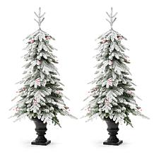 Glitzhome 2pk 5' Flocked Fir Artificial Christmas Tree in Urn w/Lights