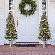 Glitzhome 2pk 5 Ft. Pre-Lit Artificial Pine Christmas Porch Tree