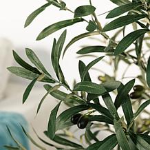 Glitzhome 4' Faux Olive Tree in Pot