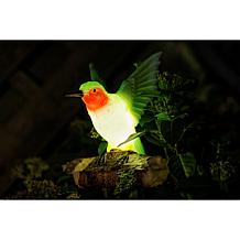 GreanBase Solar Bird Stakes with Sounds -Set of 2