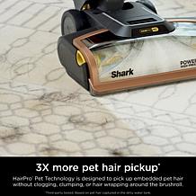 Hair Pro Pet Carpet Cleaner with Stain Striker