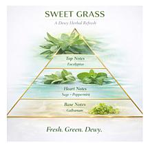 Happy Place Supersize Air Freshener + Odor Eliminator - Sweet Grass AS