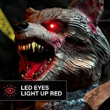 Haunted Hill Farm 2-Ft. Zombie Raccoon Animatronic