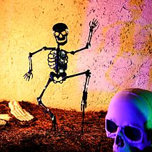 Haunted Hill Farm 2.3-Ft. LED Metal Skeleton Decoration with Stake ...