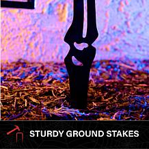 Haunted Hill Farm 2.3-Ft. LED Zombie Hand with Lantern & Stake for ...