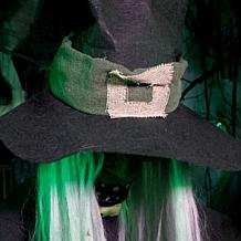 Haunted Hill Farm 4.3-Ft. Animated Sitting Witch Animatronic