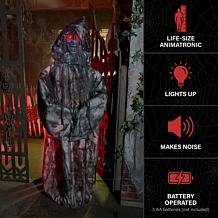 Haunted Hill Farm 5.4-Ft. Standing Jump Scare Witch Animatronic