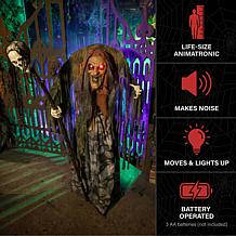 Haunted Hill Farm 5.6-Ft.Standing Animated Hunchback Witch with Sku...