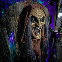 Haunted Hill Farm 5.6-Ft.Standing Animated Hunchback Witch with Sku...